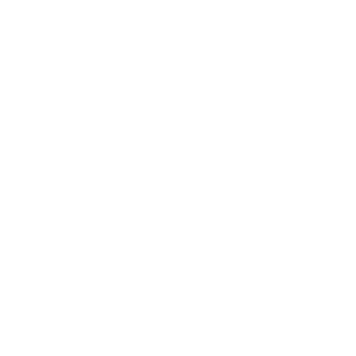 Expert 9